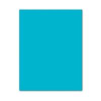 Fiches Iris Turkoois 50 x 65 cm