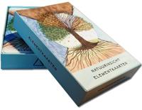 Natuurinzicht Elementkaarten (Overige)