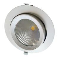 Kantelbare LED Downlight 30 Watt - COB - 3000Lm - Ø200x155mm - 30°