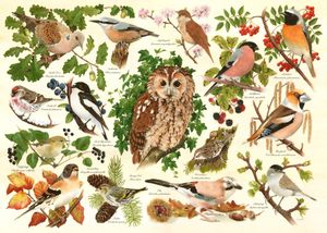 Woodland Birds Puzzel 500 XL stukjes