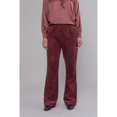 Broek