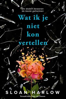 Wat ik je niet kon vertellen (Paperback)