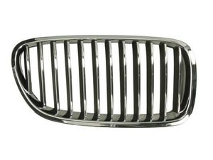 Radiateurgrille 6502070067994P