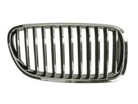 Radiateurgrille 6502070067994P