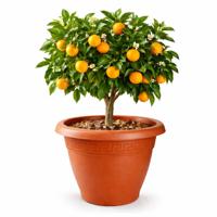 Plasticforte Plantenpot - terracotta bruin - 45x38 cm - bloempot - kunststof - rond