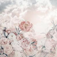 Komar Le Jardin Fotobehang Blossom Clouds - LJX5-007