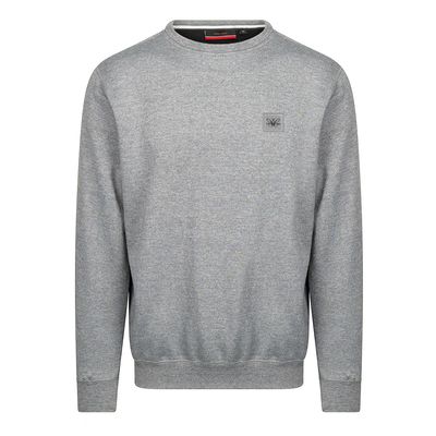 Sweater Grijs