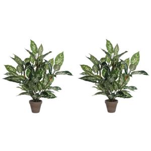 Mica Decorations groene Dieffenbachia kunstplant - 2x - 70 cm - in pot - Kunstplanten/nepplanten