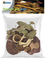 Superfish Biotope set asia