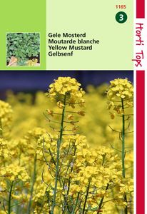 Mosterd, Gele - Hortitops