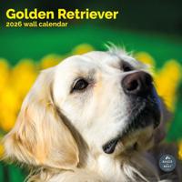 Golden Retriever Kalender 2026