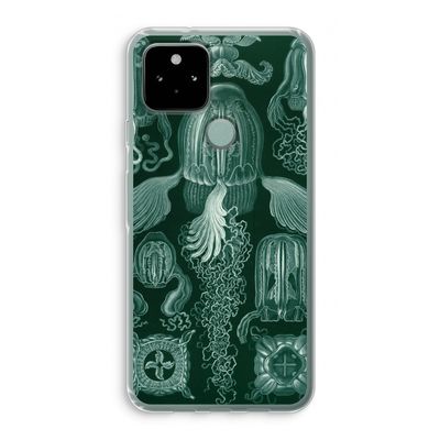 Haeckel Cubomedusae: Google Pixel 5 Transparant Hoesje