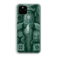 Haeckel Cubomedusae: Google Pixel 5 Transparant Hoesje