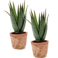 Set van 2x stuks Aloe Vera kunstplanten in terracotta pot 23 cm - thumbnail