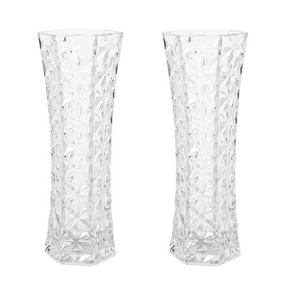Set van 2x stuks bloemenvazen van ornament glas 29 x 11 cm