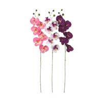 Kunstbloem Orchidee 78 cm 3 assorti kleur | 48 stuks