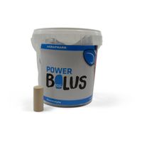 PowerBolus Electrolyte Bolus (15 stuks) - thumbnail