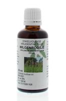 Cruydhof Epilobium angustifolium / wilgenroosje tinctuur 50 Milliliter