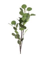 Eucalyptus groen - Countryfield