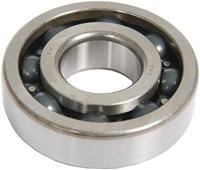 NTN Ball bearings 6305 25x62x17