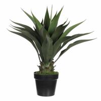 Mica Decorations Kunstplant Agava - groen - in zwarte pot - 60 cm