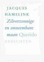 Zilverzonnige en onneembare maan - Jacques Hamelink - ebook