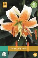 Lilium Lady Alice geel 1 bloembol Lelie JUB - Jub
