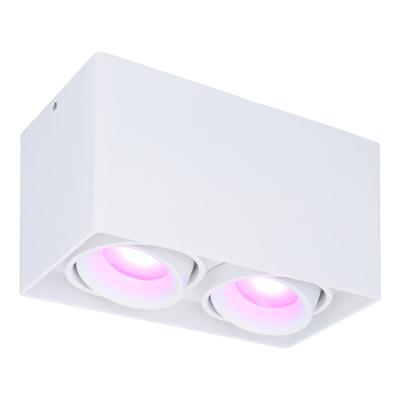 Esto smart Opbouwspot - Vierkant - Plafondspot - 2-Lichts - Kantelbaar - RGBWW - Wifi + Bluetooth - Google Home, Amazon Alexa en Siri - Wit - Bestuurbaar via App en Stem