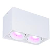 Esto smart Opbouwspot - Vierkant - Plafondspot - 2-Lichts - Kantelbaar - RGBWW - Wifi + Bluetooth - Google Home, Amazon Alexa en Siri - Wit - Bestuurbaar via App en Stem