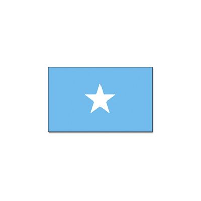 Vlag Somalie 90 x 150 cm feestartikelen