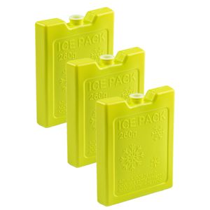 6x stuks 260 grams koelelementen 13 x 10.5 cm groen