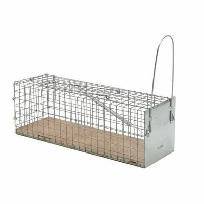 Rattenvanger Caussade