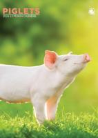 Varken A3 Kalender 2026