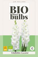 Bloembol 5 stuks bio gladiolus essential bloembol 5 stuks Gladiool JUB - Jub