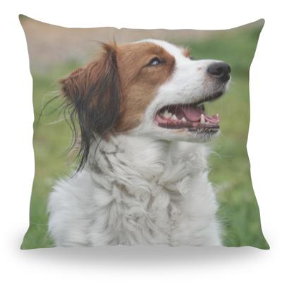 Volledig bedrukt kussen - Pillow Buddies