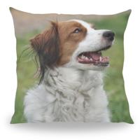 Volledig bedrukt kussen - Pillow Buddies
