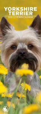 Yorkshire Terrier Slimline Kalender 2026
