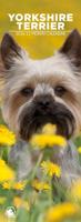 Yorkshire Terrier Slimline Kalender 2026