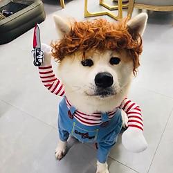 Honden Katten Halloween outfits kostuums Versiering Eenvoudig Gestreept Spook Ridder Cosplay Grappig Verstelbaar Halloween Feest Halloween Hond puppy kleding outfits Lightinthebox