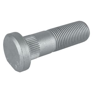 Wielbout 48667