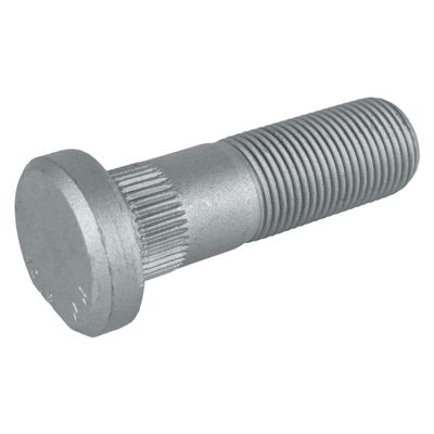 Wielbout 48667