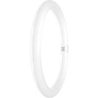 LEDVANCE LED-buis-Globe Energielabel: F (A - G) G10q 18.3 W Warmwit 1 stuk(s) (Ø x l) 300.00 mm x 300.00 mm