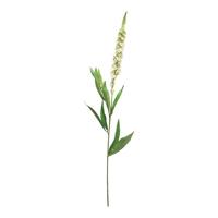 Kunst Veronica spray white - 76 cm Kunstbloemen Erutan Avon - Erutan avon