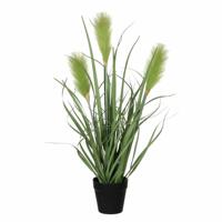 Mica Decorations Kunstplant - siergras - groen - in pot - H53 x D30 cm