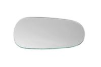 Spiegelglas, buitenspiegel 6102021293113P