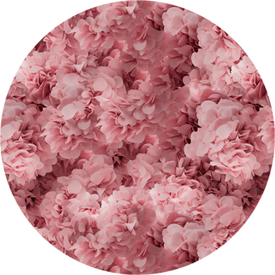 Moooi Carpets - Rond Vloerkleed Hortensia Pink Rond Low Pile -