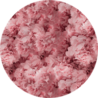 Moooi Carpets - Rond Vloerkleed Hortensia Pink Rond Low Pile -