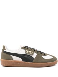 PUMA baskets Palermo OG en cuir - Vert