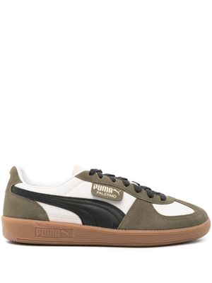 PUMA baskets Palermo OG en cuir - Vert