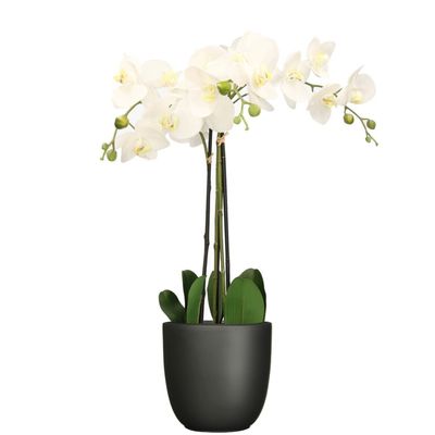 Orchidee kunstplant wit - 75 cm - inclusief bloempot zwart mat